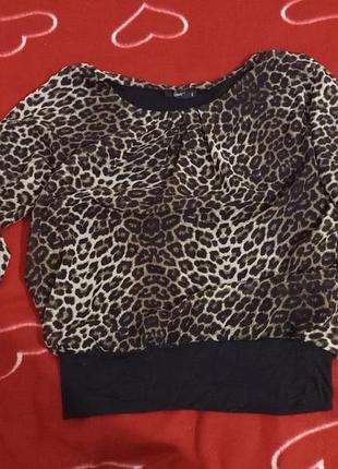 Блузка леопард