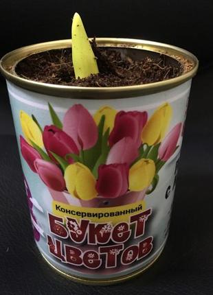Консервированный букет цветов - консервированные тюльпаны5 фото