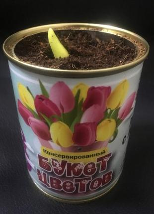 Консервированный букет цветов - консервированные тюльпаны4 фото