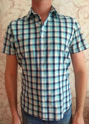 Сорочка, сорочка в клітинку