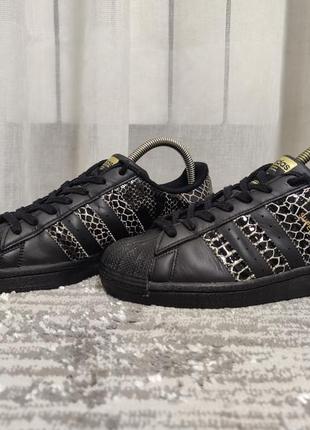 Кожаные кроссовки adidas superstar.

стелька 25 см1 фото