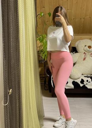 Лосини, лосіни, лосины oceansapart4 фото