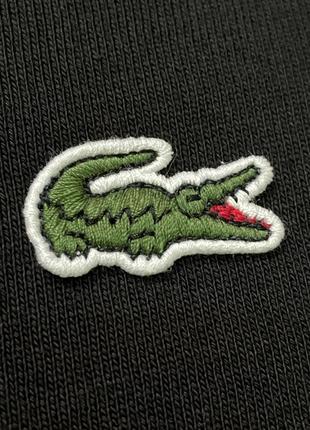 Олімпійка lacoste, оригінал, розмір l8 фото