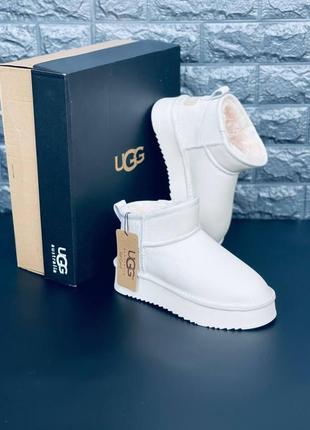 Женские сапоги ugg белые замшовые зимние сапоги уг угги уггі уги1 фото