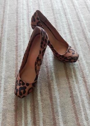 Леопардовые туфли на шпильках2 фото