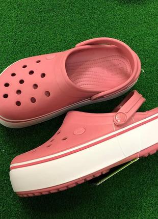 Сабо крокс крокбенд клог платформа пудра crocs platform blossom/white9 фото