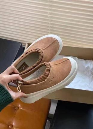 Ugg tasman weather hybrid