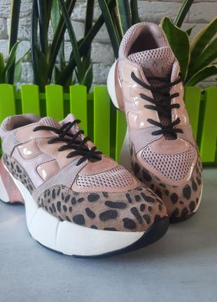 Кросівки pinko