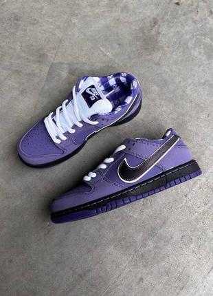 Кроссовки nike sb dunk lobster purple6 фото