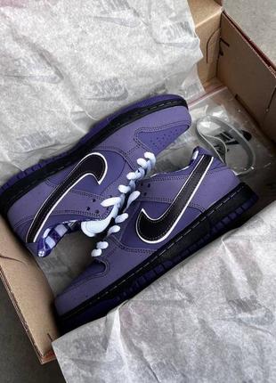 Кроссовки nike sb dunk lobster purple4 фото