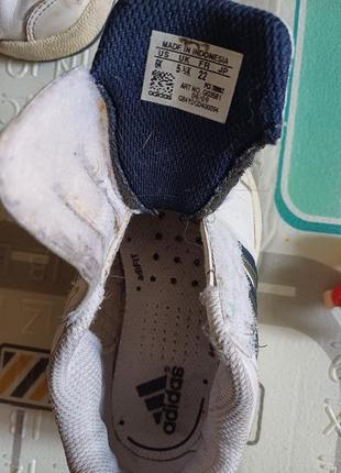 Зара & адідас 4