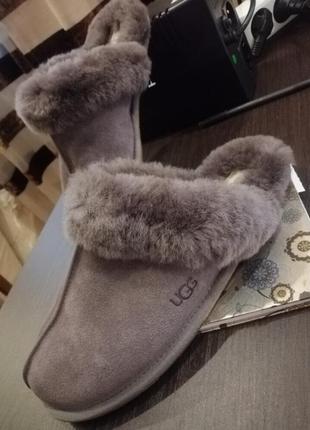 Тапочки  scuffette ll house slipper ugg цвет мокко7 фото