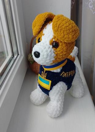 Песик патрон 💙💛🐕