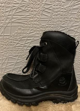 Черевики timberland