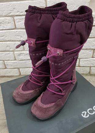 Продам зимние сапоги ecco р. 32