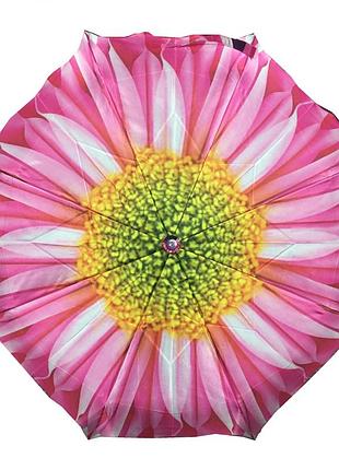 Зонт автомат "daisy" розовый