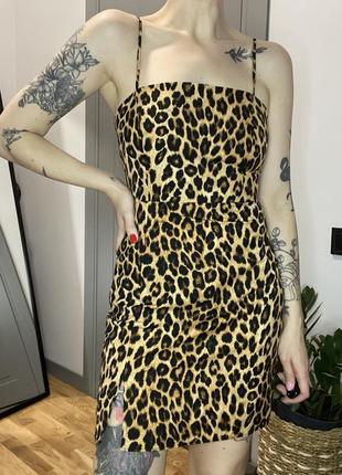Міні сукня леопардова zara1 фото
