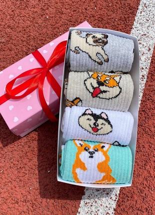 Красивые женские носки 36-41 4 шт в подарочной коробке8 фото