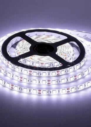 Led стрічка "nil" 6400к 12 v (холодний білий) ціна за 1 м "horoz electric" світлодіодна (081-002-0001-021) ip-20