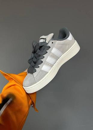 Adidas campus кроссовки