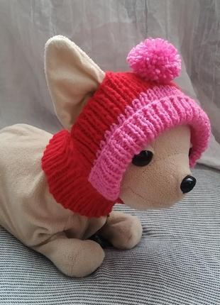 Шапочка шапка для маленької собаки собачки одяг для тварин1 фото