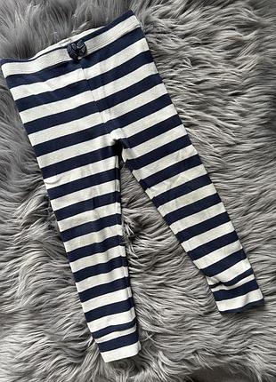 Полосатые лосины, лосины для девушек