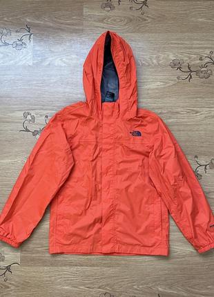 Детская куртка the north face hyvent