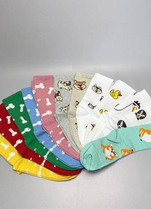 Прикольный набор носков женских длинных демисезонных 36-41 12 шт в подарочной коробке ms4 фото
