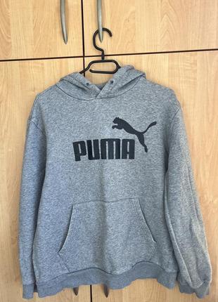 Толстовка puma1 фото