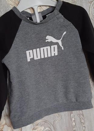 Кофта puma1 фото