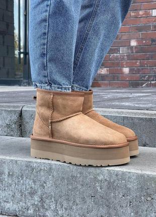 Угги ugg mini platform chestnut угги зимняя натуральная овчина2 фото
