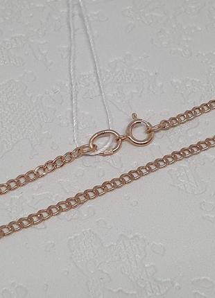 Золотий ланцюжок (панцирне). панцир_1 40