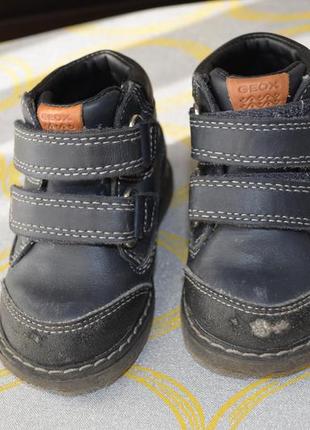 Демисезонные ботинки на мальчика размер 20 geox3 фото