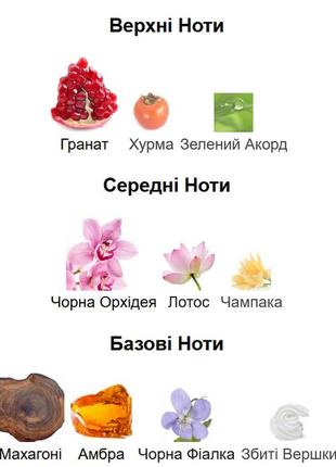 Euphoria calvin klein парфюмерна вода для жінок розпив відливант4 фото