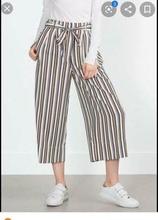 Стильные кюлоты с поясом в полоску zebra