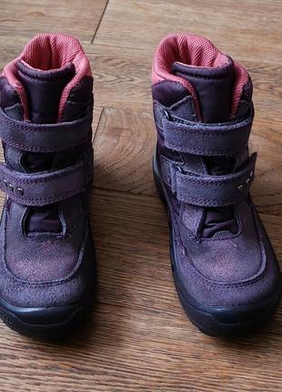 Ecco зимние сапоги gore-tex р.25(15,5см)