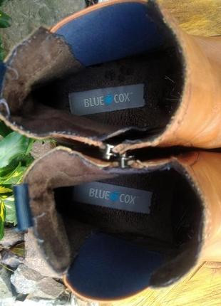 Кожаные ботинки, ботильоны, полу сапоги blue cox10 фото