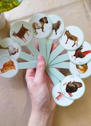 Двусторонние карточки веер с картинками "животные"