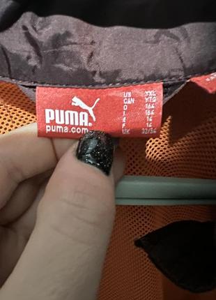 Вітровка puma5 фото