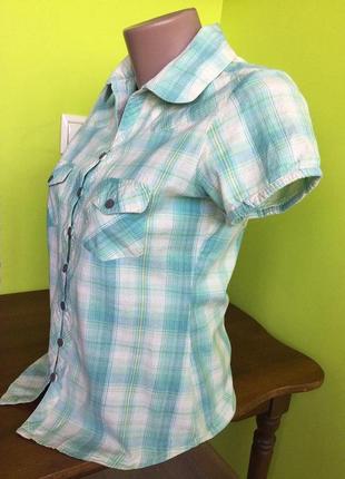 Блузка moda international/ рубашка в клетку с воротником на пуговицах / хлопок s-м5 фото