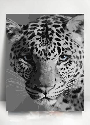 Картина за номерами "art store" леопард (з лаком) розміром 40х50 см