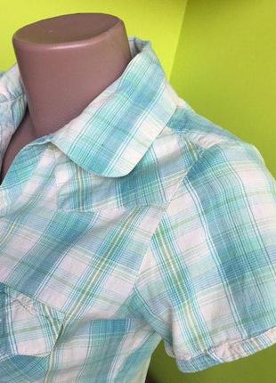 Блузка moda international/ рубашка в клетку с воротником на пуговицах / хлопок s-м9 фото