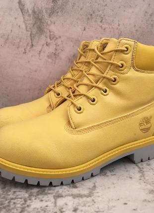 Черевики timberland premium 6-inch waterproof primaloft / nellie premium heritage