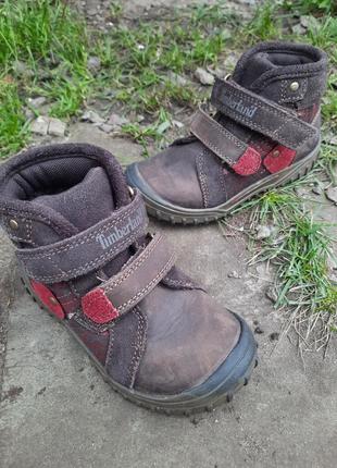 Демисезонные ботинки хайтопы  timberland2 фото