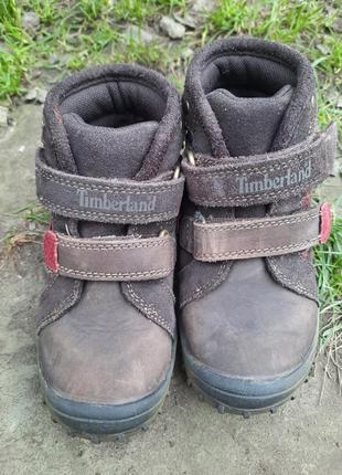 Демисезонные ботинки хайтопы  timberland3 фото