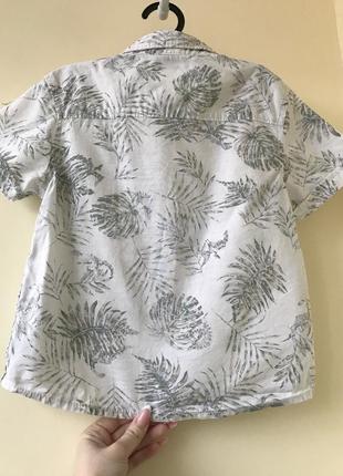 Пляжна / класична рубашка для хлопчика 3-4 роки хлопкова, котонова, бавовняна3 фото