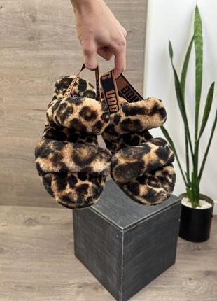 Ugg тапочки оригинал на меху тигру с резинкой3 фото