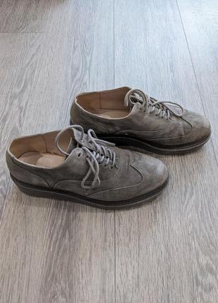 Сірі замшеві жіночі туфлі, vitto rocci, 37