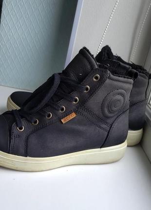 Зимние ботинки ecco с goretex 37 р