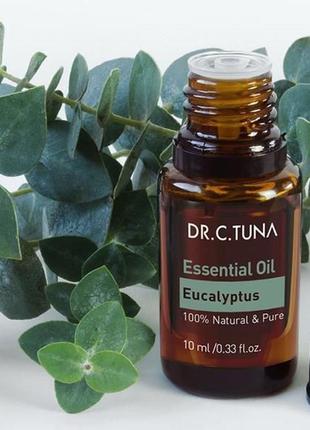 Эфирное масло эвкалипта. eucalyptus globulus leaf oil